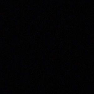 Meet your Posher, Josie